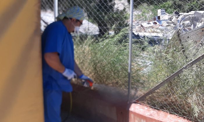 Kemer Belediyesi, barınaktaki hayvanlar için pire ve kene ilaçlaması yapıyor