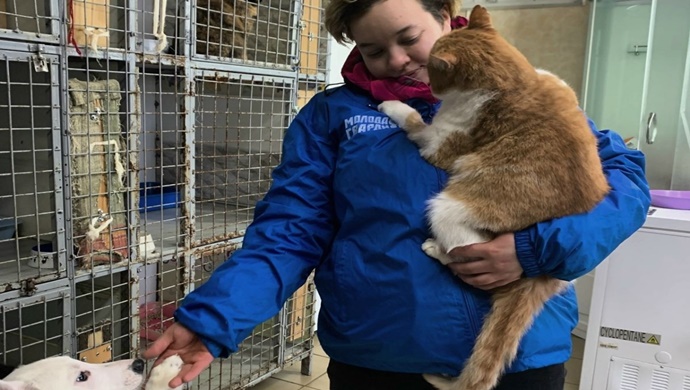 Vologda bölgesinde, Birleşik Rusya aktivistleri bir hayvan barınağına yardımda bulundu